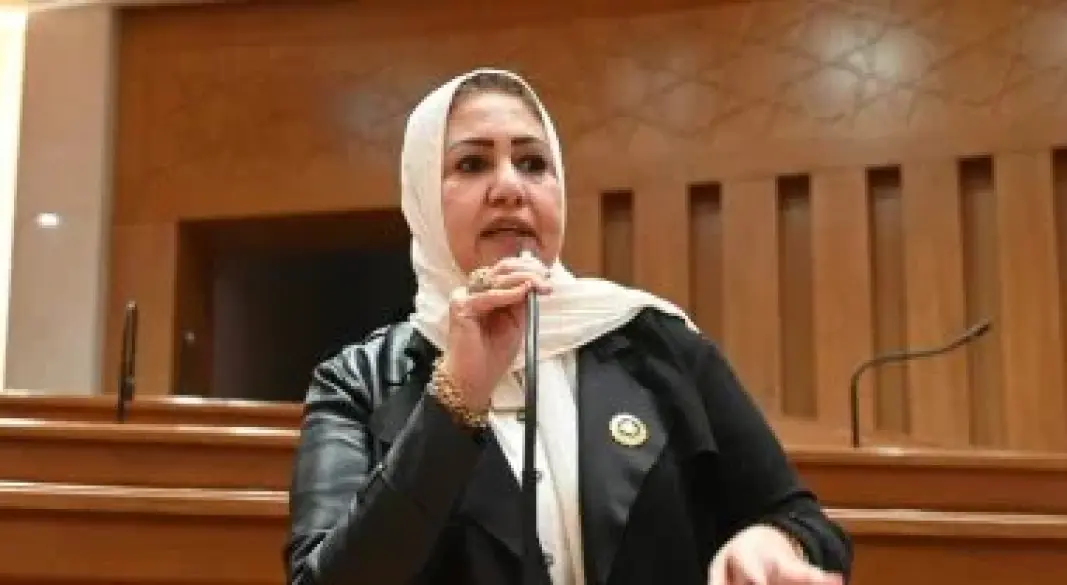 النائبة سحر صدقي خليفة عضو مجلس النواب